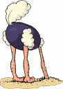 ostrich-head-sand.jpg