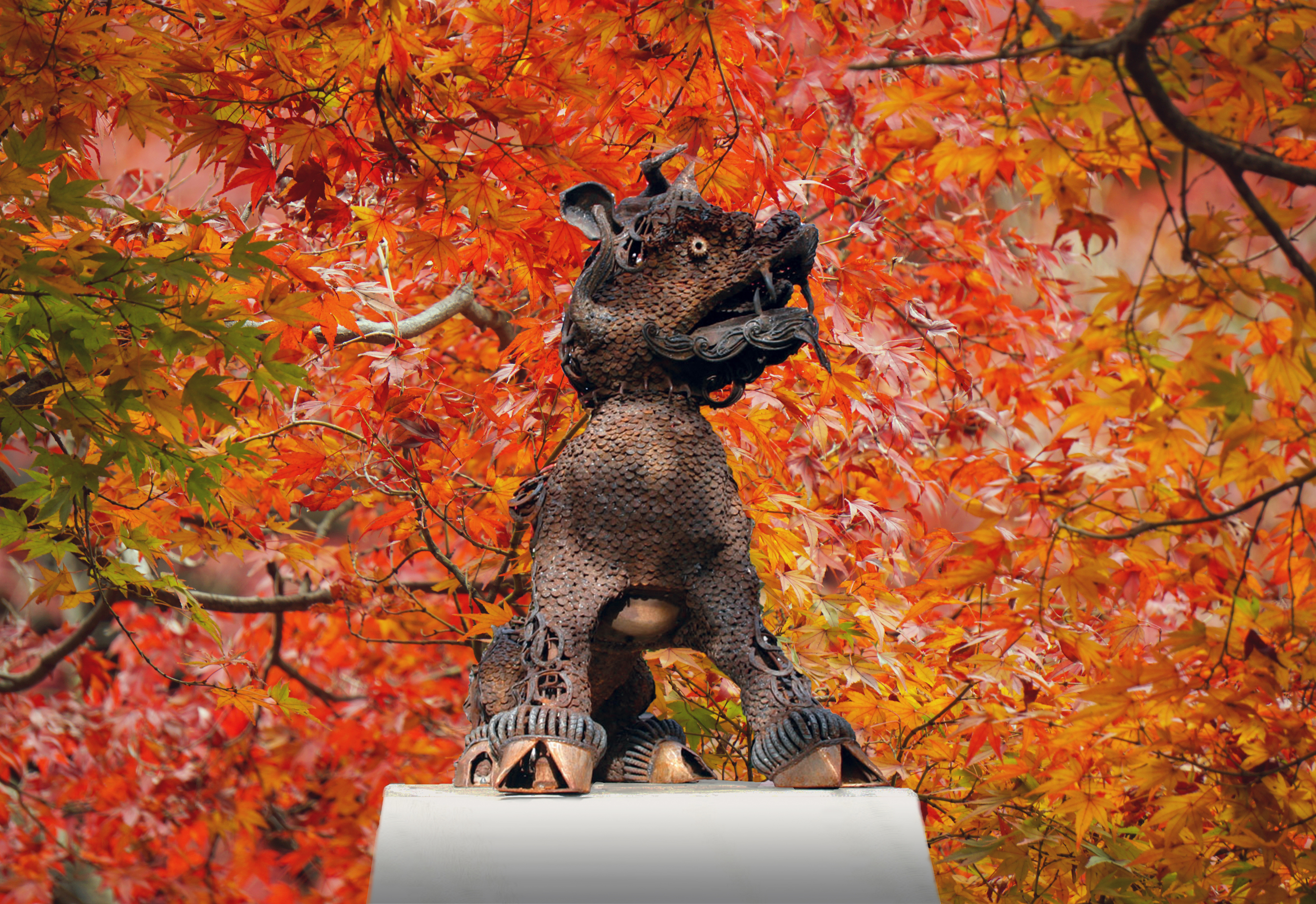 Boxer_Statue_Fall.jpg