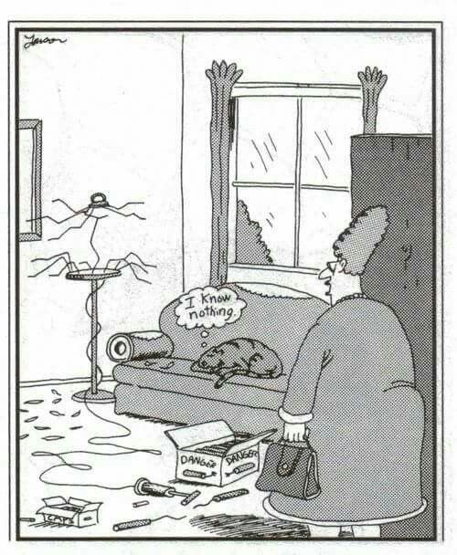 b373bff1d9066a6fa3fb9284ba9cd353--cat-cartoons-cartoon-jokes.jpg