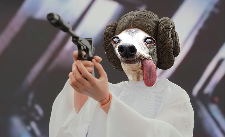 Dog-with-tongue-out-photoshopped-14.jpg