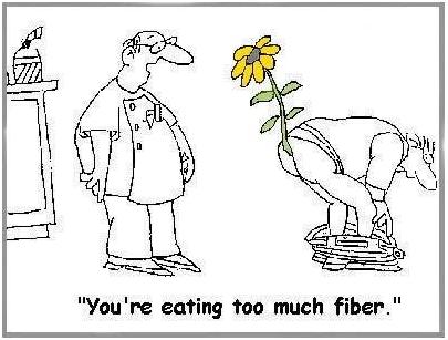 Too-Much-Fiber1.jpg