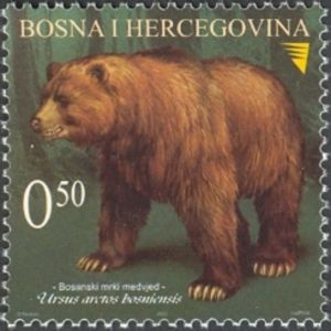 Bosnian-Bear.jpg