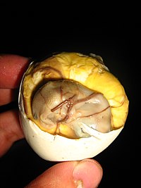 200px-BALUT.jpg