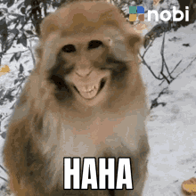 nobi-pintu.gif