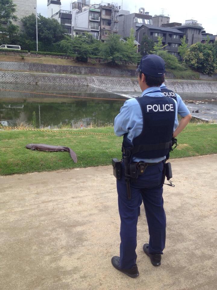 BrtonsSCMAIlb_s.jpg:large