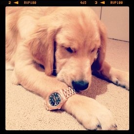 main-qimg-11f5b0964042300e95911c68d619faab