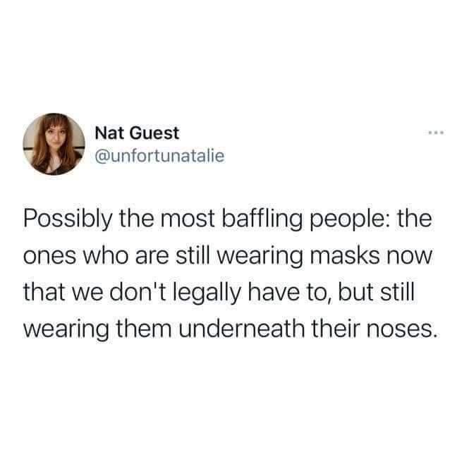 kmkzldnrmqc71.jpg