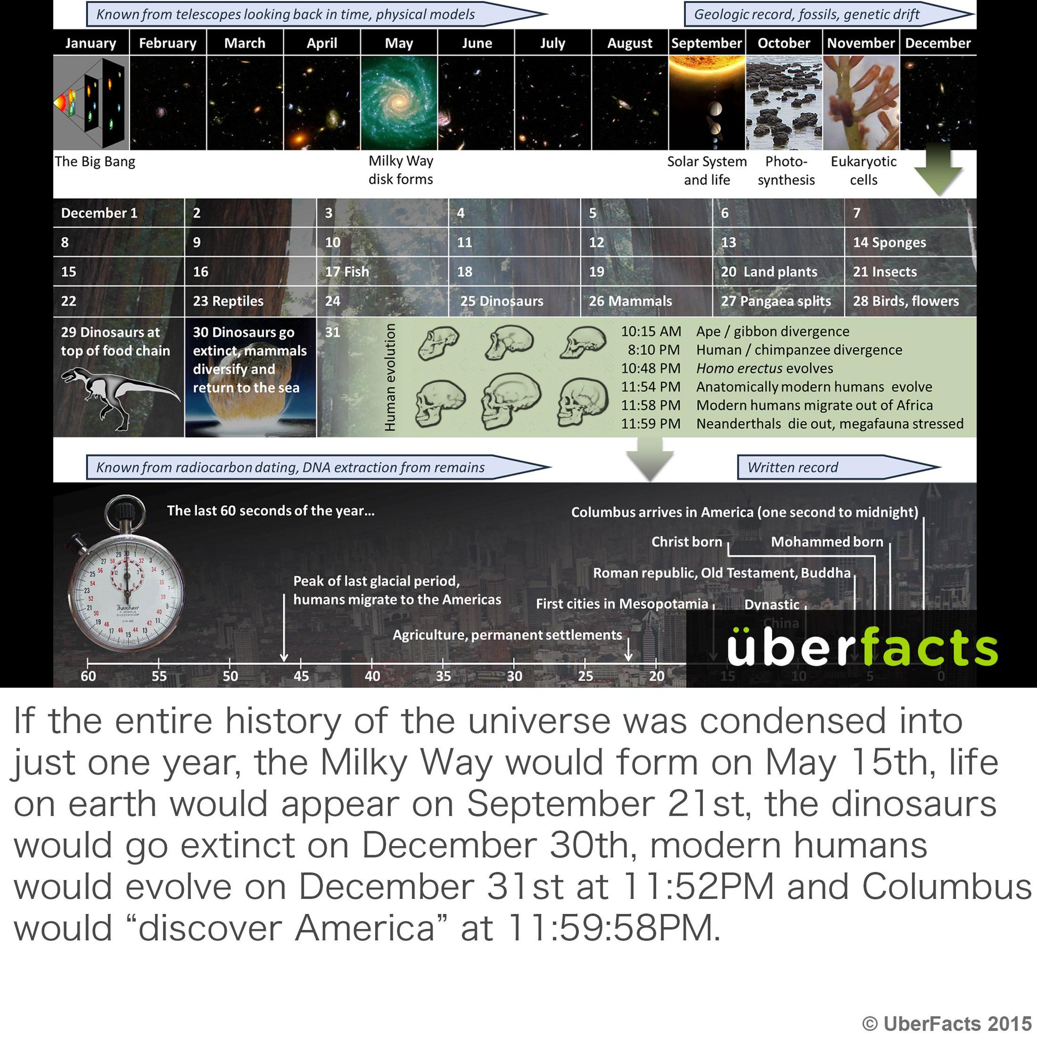 COrwapIWwAAKN76.jpg:large