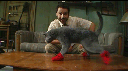 kitten%20mittons.gif