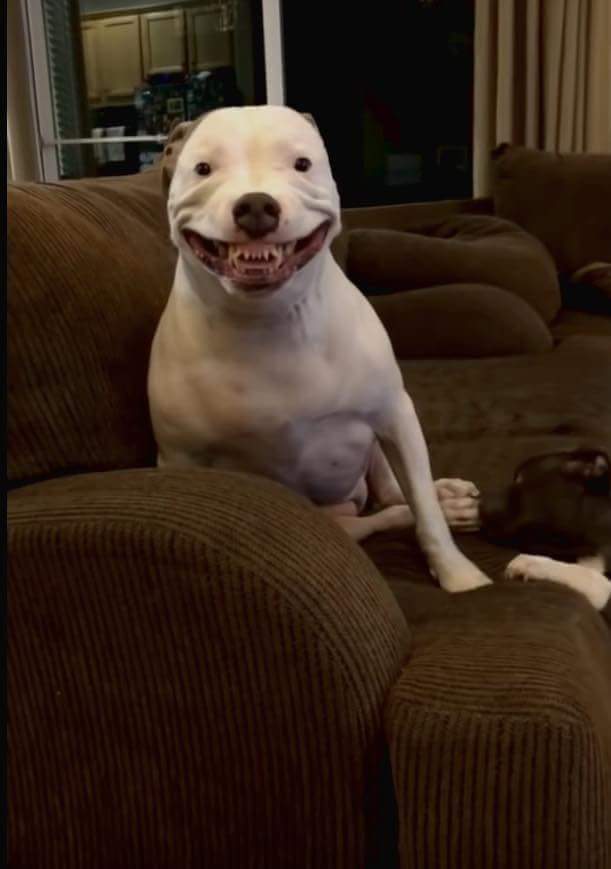 lcuglvwtean11.jpg