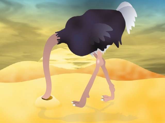 head_in_the_sand.jpg
