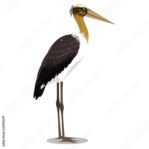 500_F_221962297_ZWKpS5zgu9LMvXHj6gX9xR0NO7h09muY.jpg