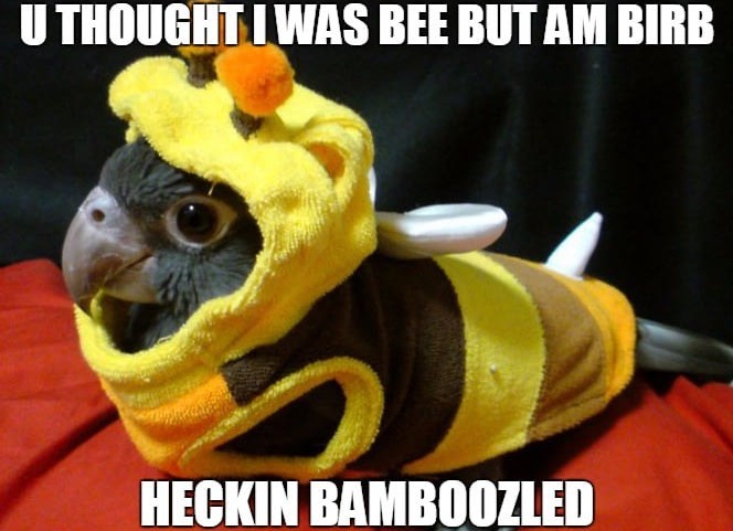596e2edb83270.jpeg