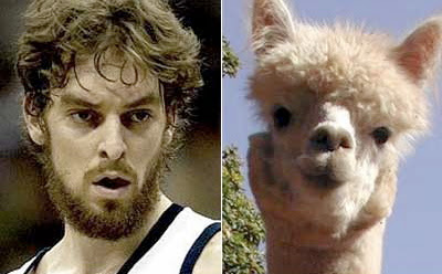pao-gasol.jpg