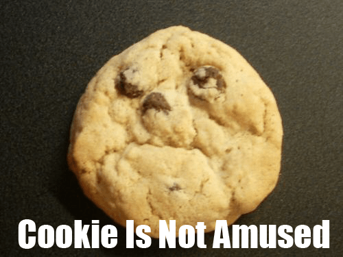 Cookie_Is_Not_Amused_by_KurayamiTamashii.png