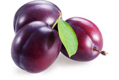 plum7.png