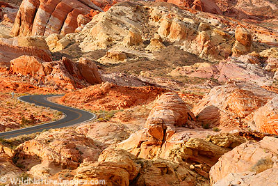 valley-of-fire-road.jpg