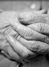 edit-democrats-to-seniors-drop-dead.jpg
