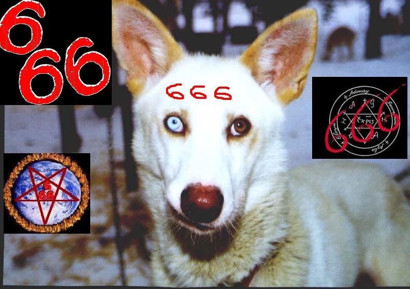 666_dog_of_the_devil_666_by_xietil.jpg