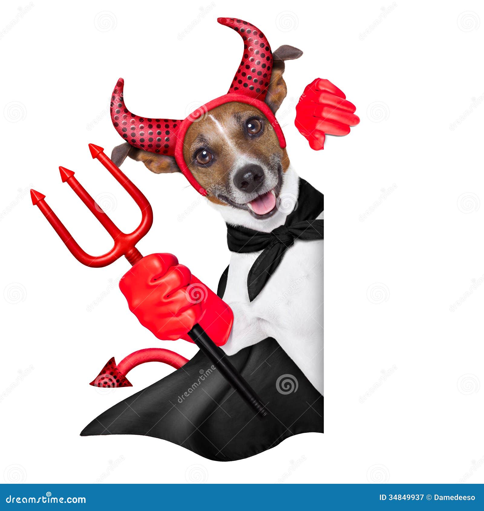 devil-dog-behind-blank-white-banner-34849937.jpg