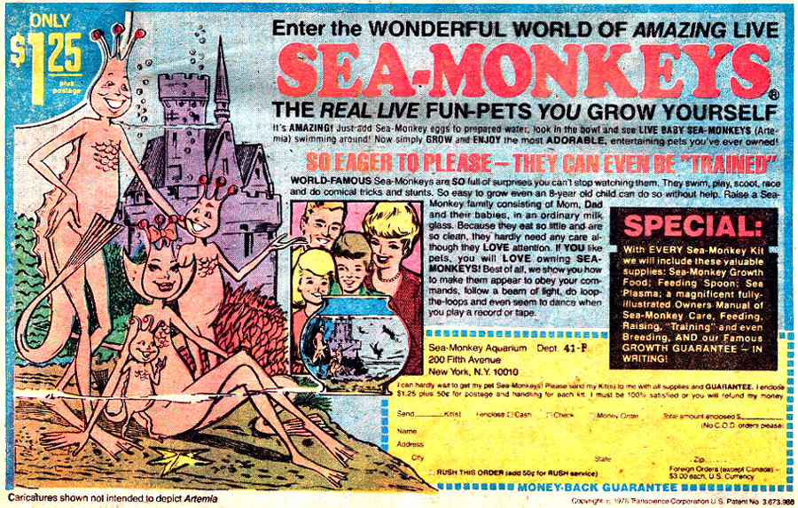 7809_sea_monkeys.jpg