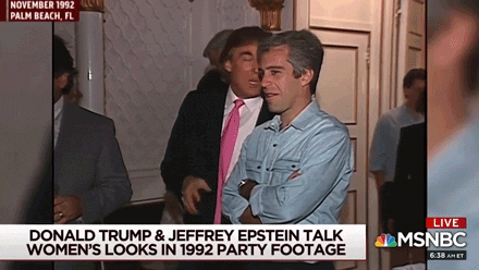 92Trump-76f7.gif