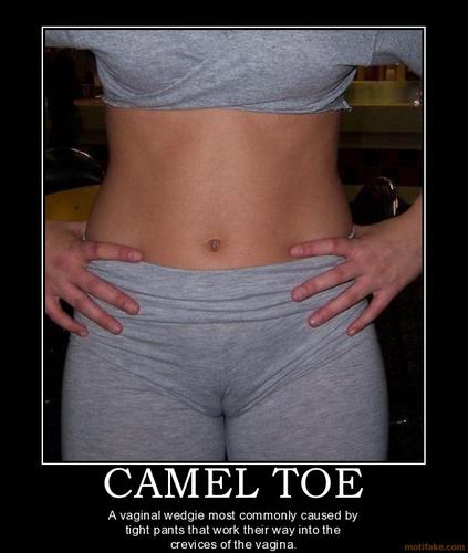 Camel_Toe.jpg