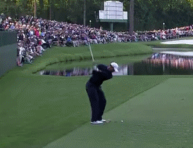 tigerkick.gif