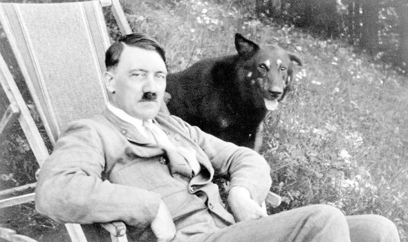 adolf-hitler-dog-muck-884186.jpg