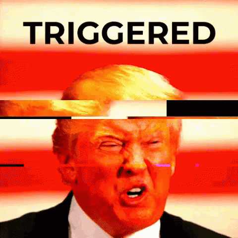 donald-trump-triggered.gif
