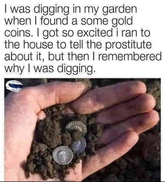 5wg0oyhlyow61.jpg