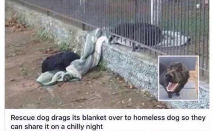 kdxb8ygqzjk41.jpg