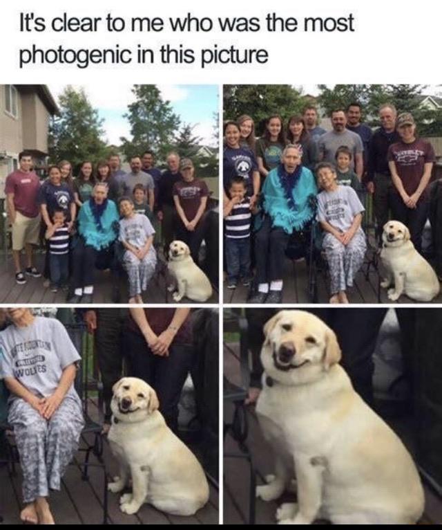 bmebvmano4r31.jpg