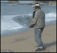 b177d1c8e5d6e9c0535317a2548b3685_w200.gif