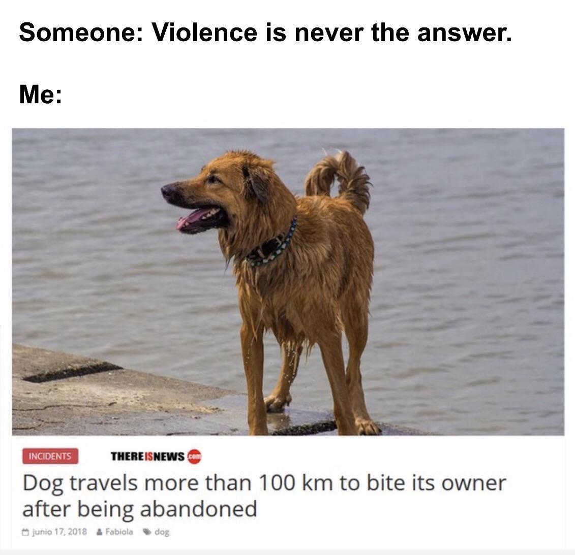 h00q75i6f2e21.jpg