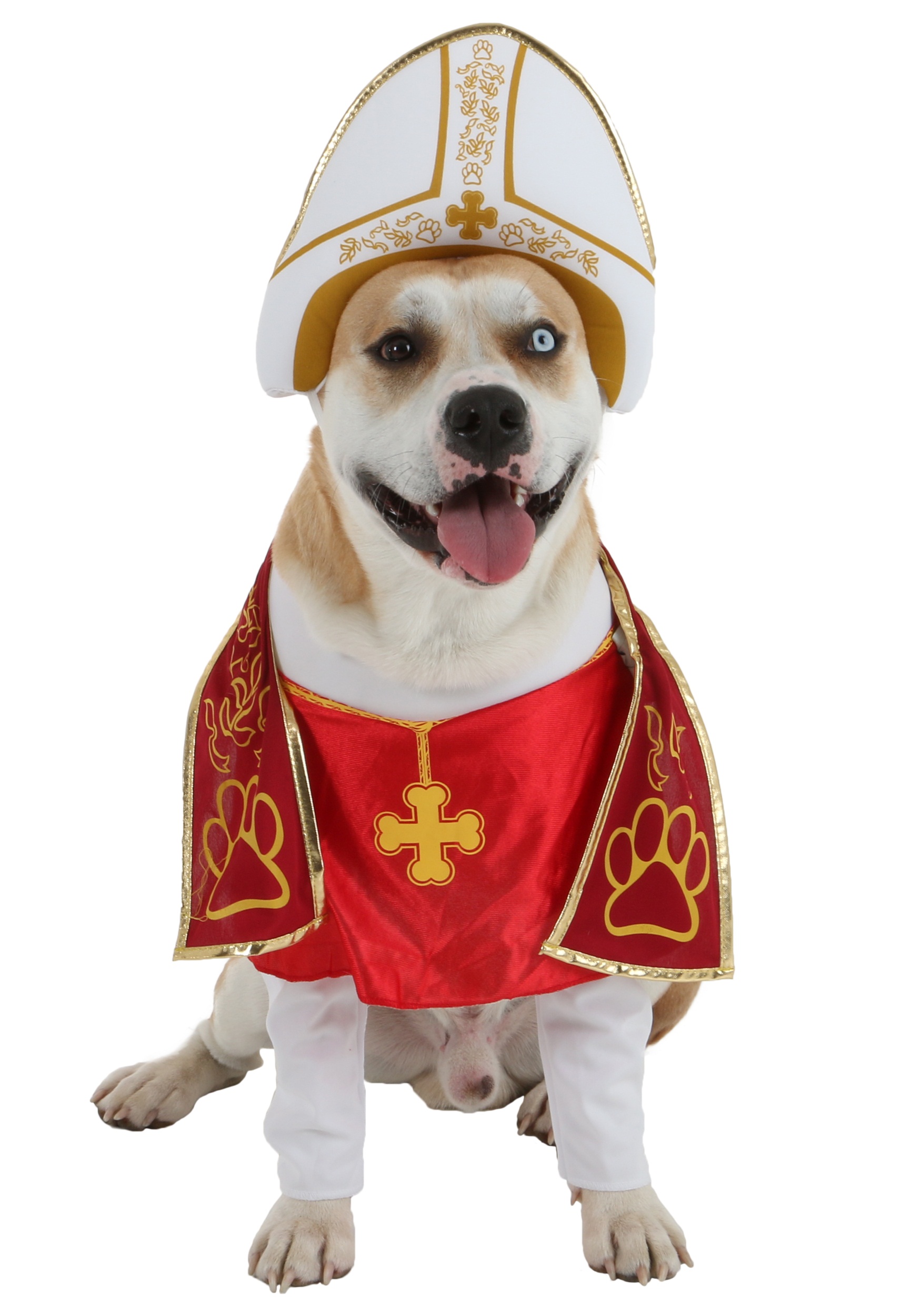 holy-hound-pet-costume-alt1.jpg