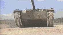 tamoyo-tank.gif