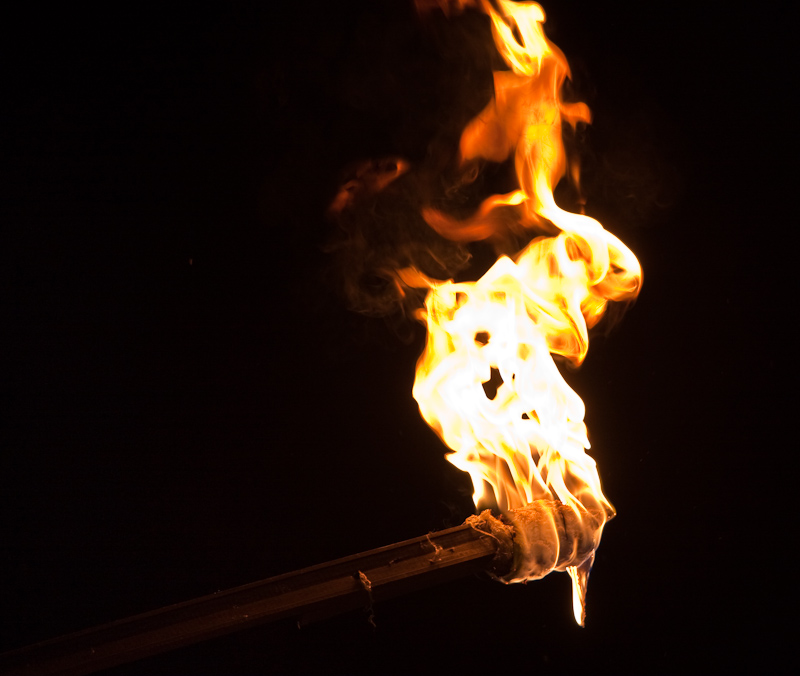 Torch-wins-new-business.jpg