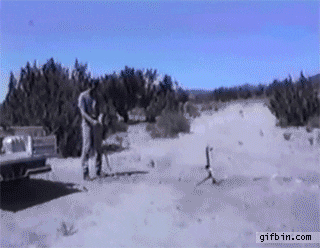 DnSse6HDofMOY.gif