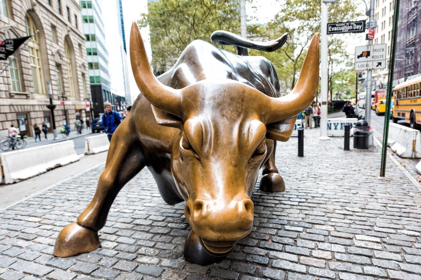 Bull-market.jpg