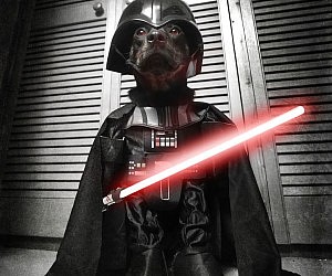 darth-vader-dog-costume2-300x250.jpg