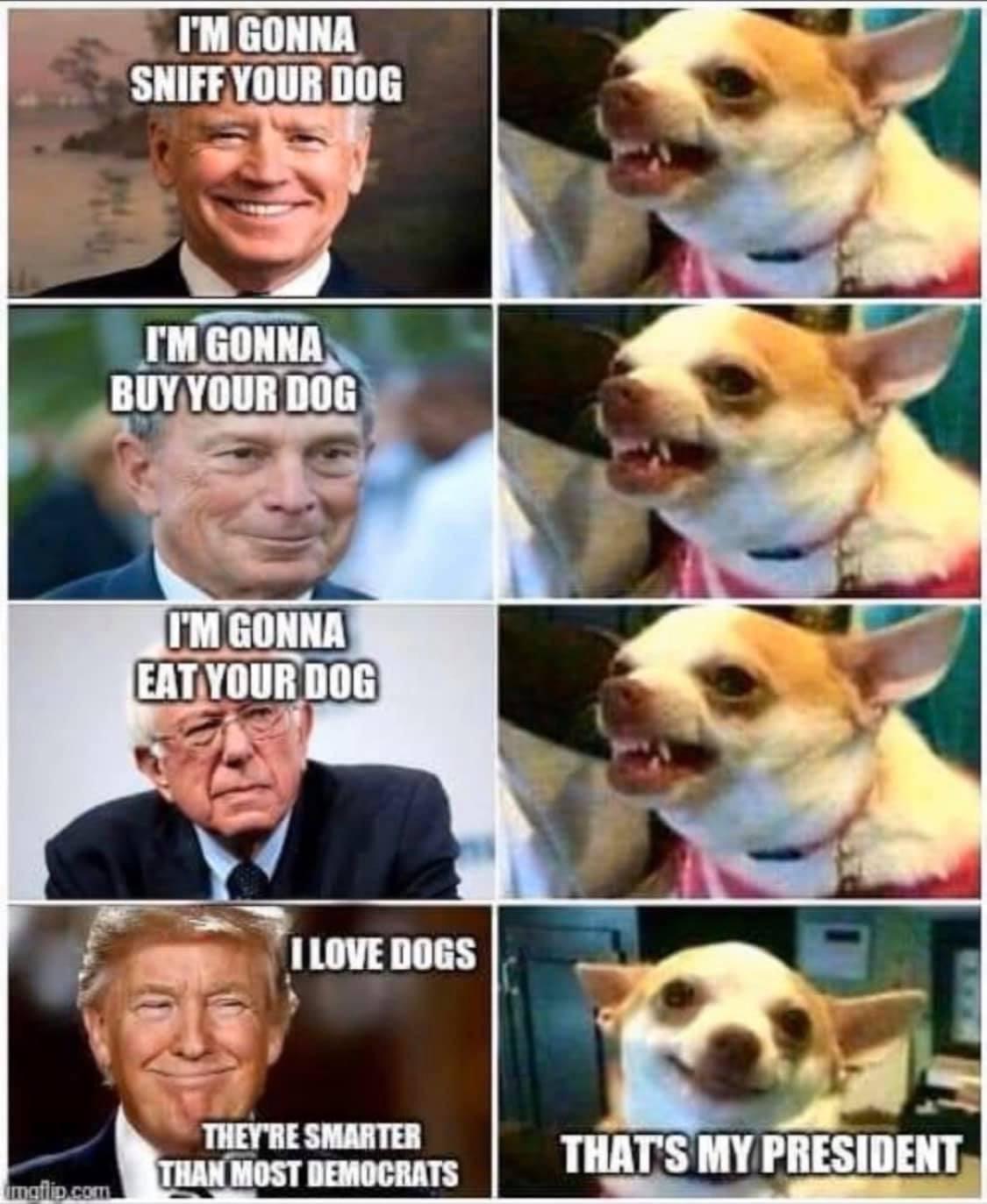 vjwvh27o2hf41.jpg