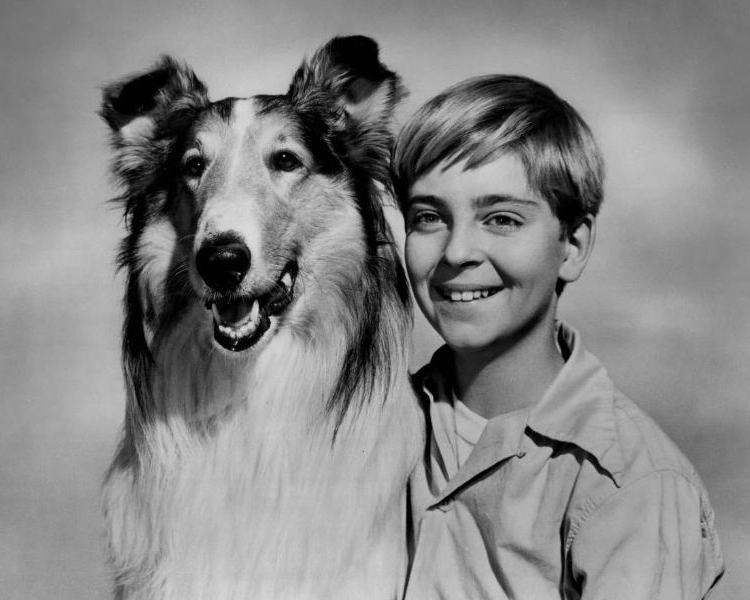 Lassie_Tommy_Rettig_Circa_1955.jpg