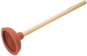 plunger-300x192.jpg