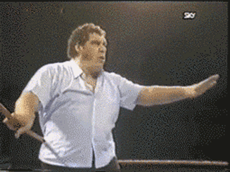 gw0wc8i0qfd21.gif