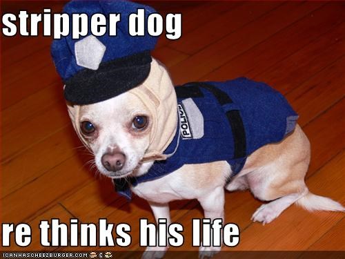 stripper-dog-re-thinks-his-life