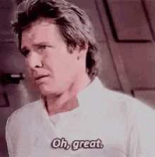 oh-great-han-solo.gif