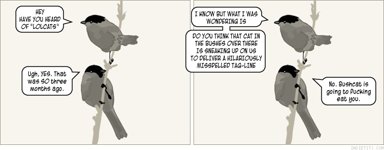 bushcat.png