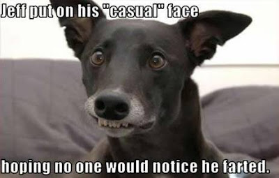 fart+dog.jpg
