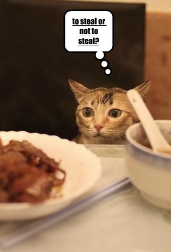 should-i